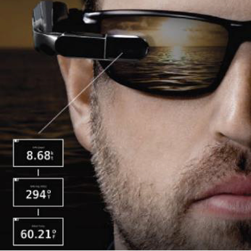 Garmin Nautix In-view Display