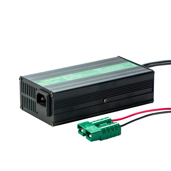 Rebelcell 21V10A Lithium-Ion Charger for ThrustMe Outdoorbox - 21V / 10A Rebelcell 21V10A Lithium-Ion Charger for ThrustMe Outdoorbox - 21V / 10A